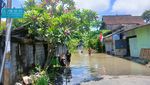 Penampakan Banjir di Kuta, Pemukiman Terendam-Bule Terobos Banjir