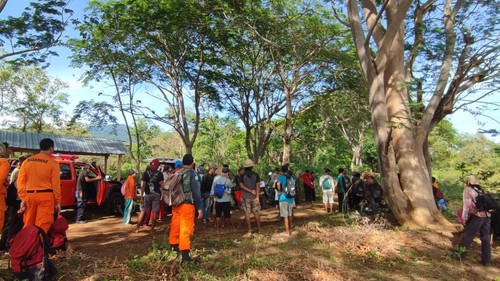 SAR Mataram mencari korban hilang saat mencari madu di tengah hutan Desa Sandongan, Kecamatan Sambelia, Lombok Timur.