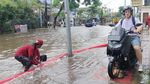 Penampakan Banjir di Kuta, Pemukiman Terendam-Bule Terobos Banjir