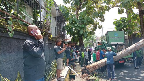 Pohon tumbang terjadi di Jalan Tukad Musi III, Banjar Sembung Sari, Desa Sumerta Kelod, Kecamatan Denpasar Timur, Kota Denpasar, Bali.
