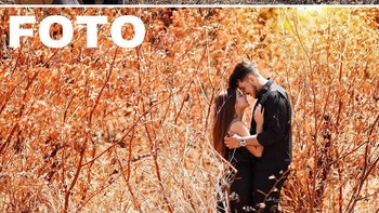 Pohon-pohon kecil dekat rumah bisa dimanfaatkan. Foto: Gilmar Silva via Boredpanda