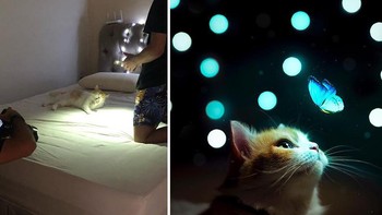 Bisa pake flash LED ponsel. Foto: Gilmar Silva via Boredpanda