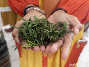 Angngira Bunga, Tradisi Maulid di Polman yang Dipercaya Mempermudah Jodoh