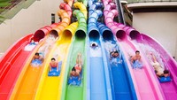 Memiliki dua anak kecil yang sama-sama lahir di Hong Kong, salah satu kegiatan akhir pekan favorit Shanty adalah mengunjungi taman hiburan dan atraksi. Water World Ocean Park adalah destinasi terbaru yang dia suka kunjungi bersama anak-anaknya. (Dok HKTB)
