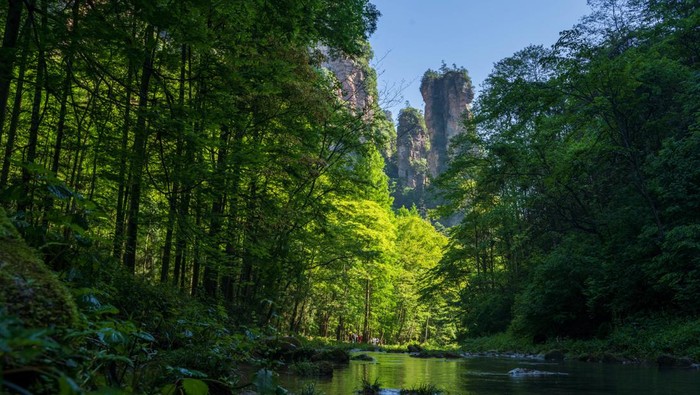 Wisata pegunungan Zhangjiajie