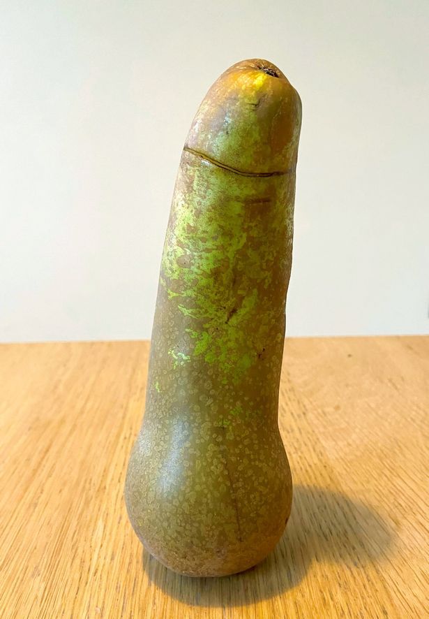 Buah pir bentuk penis