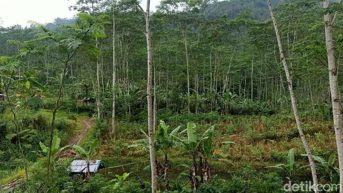 Bencana longsor pada 2014 silam itu merenggut 125 nyawa warganya, dan 23 orang dinyatakan hilang.
