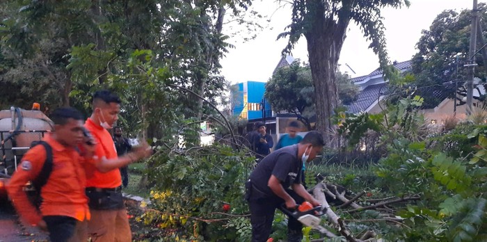 Hujan Disertai Angin Kencang Tumbangkan Pohon di Beberapa Kawasan Surabaya