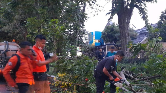 Hujan Disertai Angin Kencang Tumbangkan Pohon di Beberapa Kawasan Surabaya