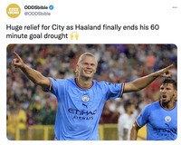 Meme Erling Haaland