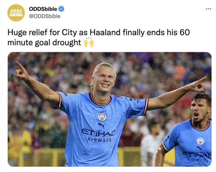 Meme Erling Haaland Meme Erling Haaland