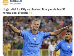 Meme Haaland dan City Jadikan Premier League Liga Petani