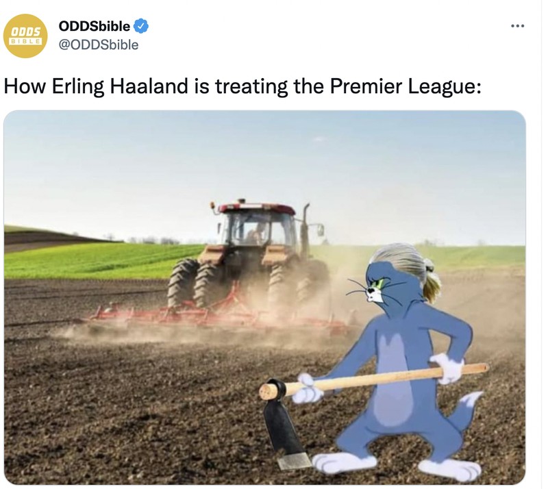 Meme Erling Haaland