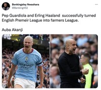 Meme Erling Haaland
