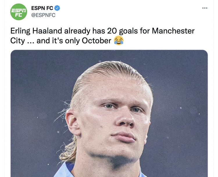 Meme Erling Haaland Meme Erling Haaland