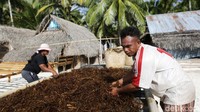 Secara sosiologis, Tnyafar merupakan satuan organisasi sosial yang terdiri dari  beberapa  keluarga  dan lebih  bercorak  sosio-ekonomi.  Dikatakan  satuan organisasi  sosial  karena  ada sistem  pengorganisasian  komunitas  di  Tnyafar diselenggarakan secara bersama melalui koordinasi ketua, sekretaris,  bendahara, dan dilantik oleh kepala desa. 