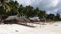 Fakta lainnya jika orang-orang kebanyakan merantau menuju kota besar untuk mencari peruntungan, masyarakat Desa Adaut, Kecamatan Selaru, Kabupaten Kepulauan Tanimbar punya tradisi merantau yang unik. Mereka merantau meninggalkan rumah dan keluarga untuk tinggal di pesisir pantai. Masyarakat Adaut menyebut tradisi tersebut sebagai tnyafar. Mereka datang ke pesisir pantai, membangun rumah semi permanen dan menetap di sana. Mayoritas warga yang melakukan tnyafar berprofesi sebagai nelayan atau petani rumput laut. (Agung Pambudhy/detikcom)