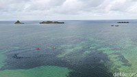 Pantai Weluan bisa dicapai dengan jalur darat kurang lebih sekitar 10 menit. Anda yang tidak membawa kendaraan pribadi bisa juga naik ojek. Biasanya ongkosnya sekitar 20 ribu rupiah. 