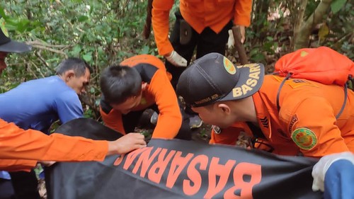 Pria pencari madu di tengah Hutan Sambelia, Lombok Timur, NTB, ditemukan tewas membusuk, Minggu (9/10/2022).