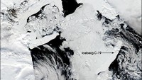 Diposisi ke-5 ada Gunung Es C-19. Gunung es dengan luas mencapai 5.500 km persegi ini terbentuk dari lapisan Ross Ice pada Mei 2002.