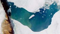 Dilansir largest.org, posisi ke-8 ada Gletser Petermann. Gletser ini terletak di Greenland sebelah barat laut di Seat Nares. Gletser ini dinamai oleh kartografer atau ahli pemetaan asal Jerman August Heinrich Petermann. Gletser ini memiliki luas sebesar 251 km persegi.