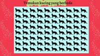 Jangan sampai terkecoh, coba temukan kucing yang berbeda.