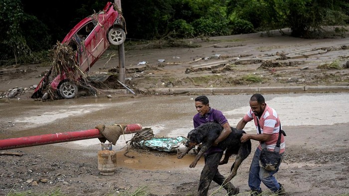 Deretan Mobil yang Jadi Korban Longsor di Venezuela Bencana tanah longsor menerjang Las Tejerias, Venezuela. Tidak hanya rumah, material longsor juga menerjang sejumlah kendaraan. Ini penampakannya.