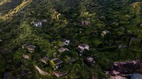 Hampir semua sudut bangunan di sana tertutup oleh lumut dan tumbuhan merambat lainnya. Rumah-rumah, hingga jalanan pun terlihat menghijau. (Johannes Eisele/AFP/Getty Images)  