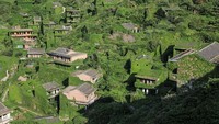 Kini, Desa Houtouwan mulai dilirik lagi untuk dikunjungi turis. Mereka yang datang ke sini biasanya untuk jalan-jalan dan berfoto menikmati nuansa hijau yang berbeda 180 derajat dengan Kota Shanghai. (Chen Yongjian/Getty Images)  