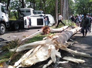 Ujung Damai Kecelakaan Mini Cooper Vs CR-V di Citraland Surabaya