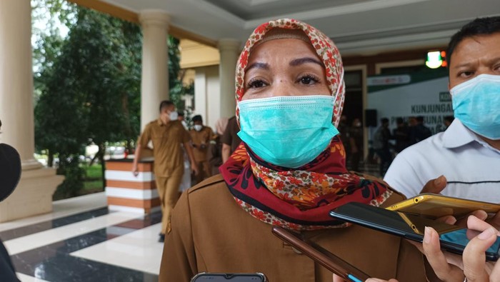 Kepala Dinas Kesehatan Provinsi Banten Ati Pramudji Hastuti (Bahtiar-detikcom)