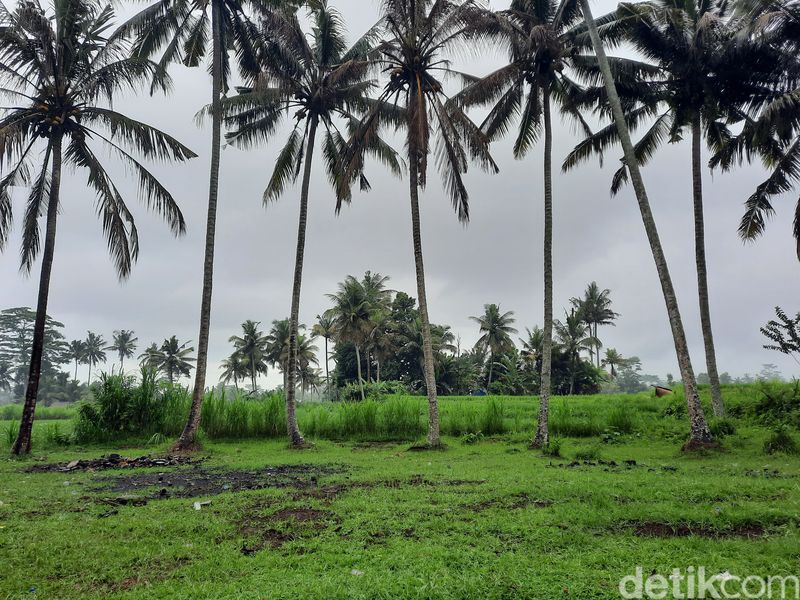 Kuburan Hindu Bali