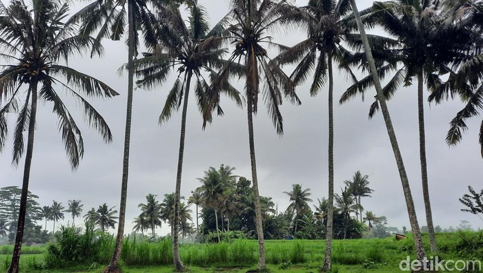 Kuburan Hindu Bali