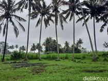 4 Fakta Unik Kuburan Hindu Bali dan Aturan Adatnya