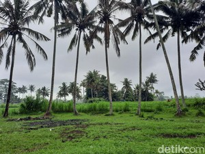 4 Fakta Unik Kuburan Hindu Bali dan Aturan Adatnya