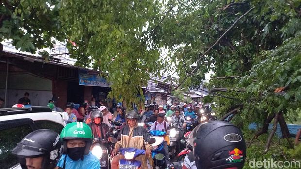 Pohon tumbang terjadi di Jalan Sanrangan, Kota Makassar, Sulawesi Selatan (Sulsel).