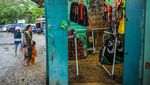 Menyusuri Pesona Tersembunyi di Selatan Jawa Barat