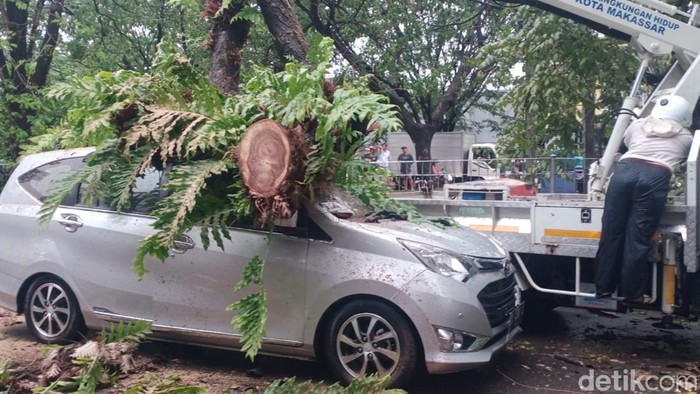 Mobil taksi online di Makassar, Sulsel, yang tertimpa pohon.