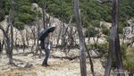 Mendaki Santai ke Gunung Papandayan, Sehari PP Bisa Kok