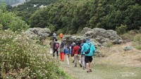 Di pondok salada selain sebagai tempat camping disini terdapat banyak bunga edelweis
