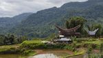Penghormatan Leluhur Lewat Ritual Manene di Tana Toraja