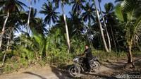 Mantri BRI Yahya harus melewati kebun kelapa dengan jalan yang belum diaspal untuk menemui nasabahnya.