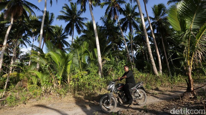 Staf Marketing dan Analis Mikro (Mantri) BRI, Yahya harus menghadapi berbagai macam tantangan, termasuk sulitnya sinyal dan terbatasnya akses transportasi di Pulau Selaru, Kabupaten Kepulauan Tanimbar.