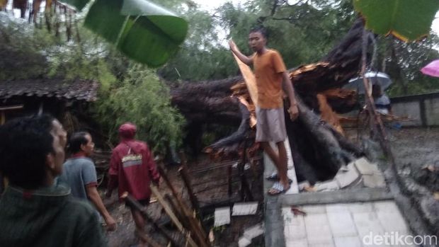 Pogon tumbang rusak rumah di Desa Kali Wenang, Tanggungharjo, Grobogan, Senin (10/10/2022).
