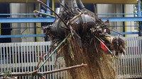 Sampah itu dibersihkan agar tak menyumbat aliran air.