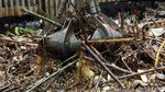 Ratusan Ton Sampah Diangkut dari Pintu Air Manggarai