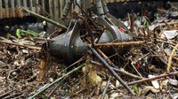 Sampah yang menumpuk itu tampak didominasi oleh ranting dan batang pohon.