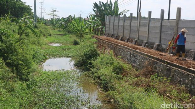 Sungai Simo sepanjang jalan Pantura Pati-Juwana dipenuhi eceng gondok, Senin (10/10/2022).