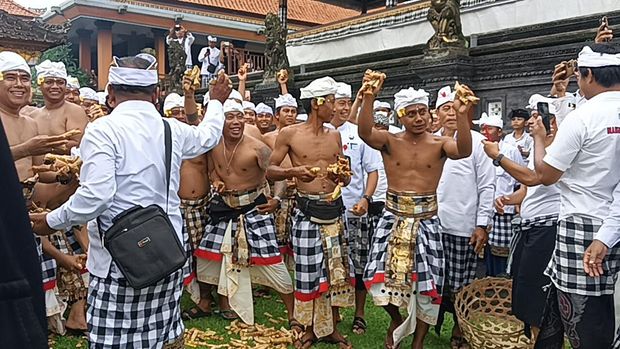 Tradisi Aci Tabuh Rah Pengangon atau lebih dikenal perang atau siat tipat bantal, Desa Adat Kapal, Mengwi, Badung, Senin (10/10/2022).