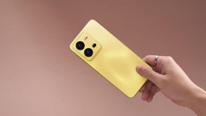 Vivo V25e